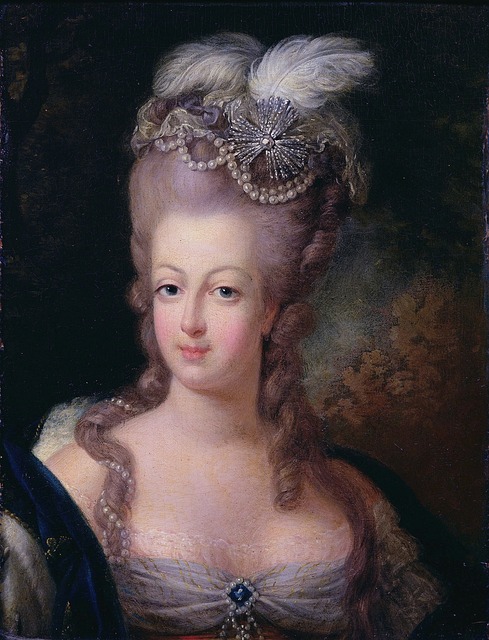 Marie-Antoinette, the subject of a previous History and Culture talk at the BRLSI.