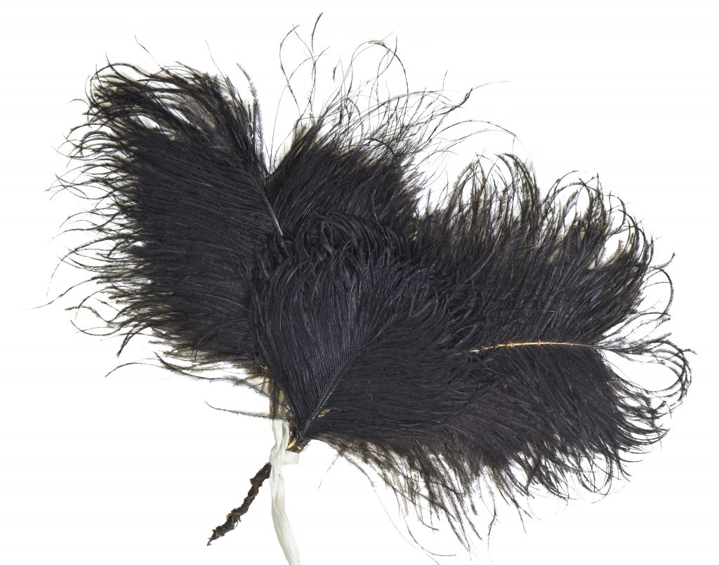 An arrangement of black ostrich feathers to be worn as a plume on a hat